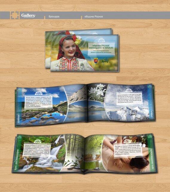 Дизайн Дизайн